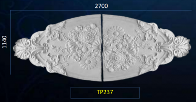 TP237