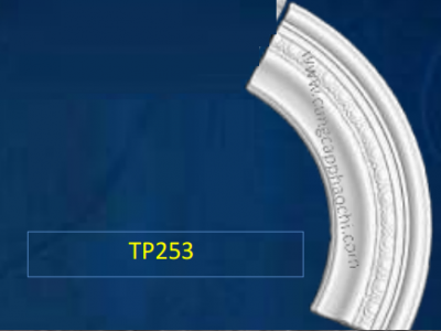 TP253