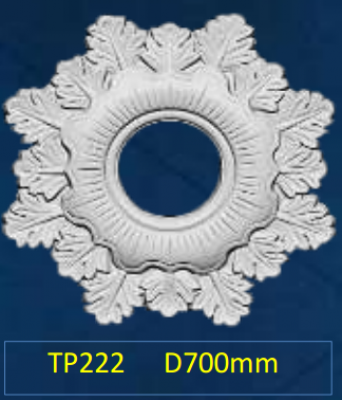 TP222