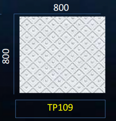 TP109