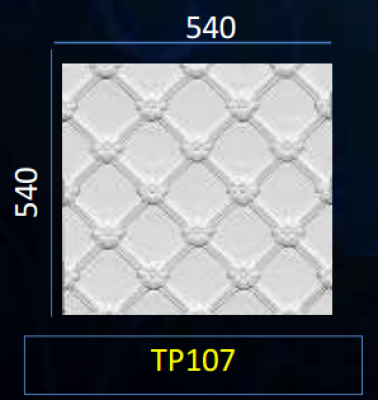 TP107